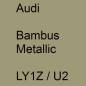 Preview: Audi, Bambus Metallic, LY1Z / U2.